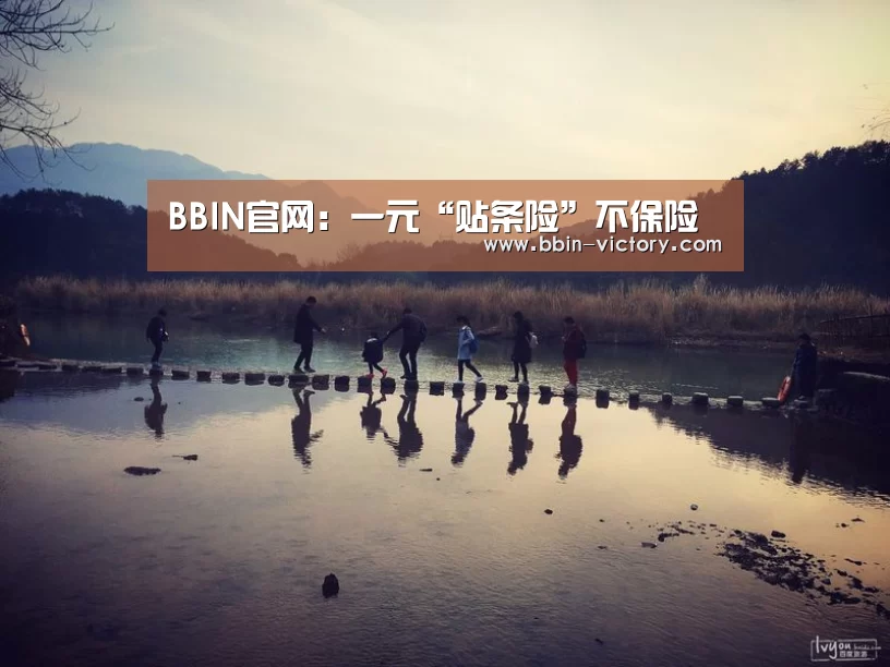 BBIN官网:一元“贴条险”不保险(图1) BBIN入口