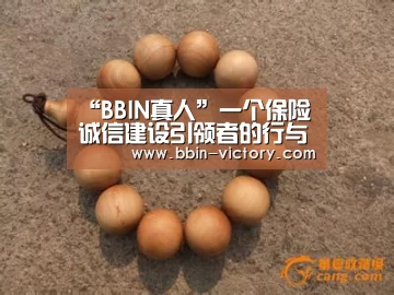 “BBIN真人”一个保险诚信建设引领者的行与思(图3) BBIN真人