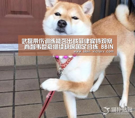 BBIN入口