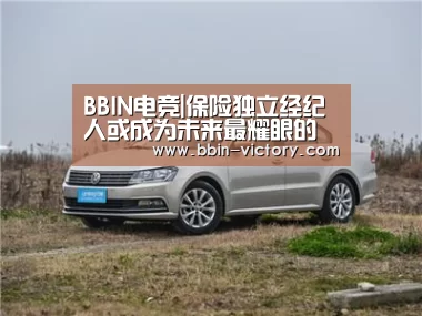 BBIN电竞|保险独立经纪人或成为未来最耀眼的职业(图2) BBIN电竞