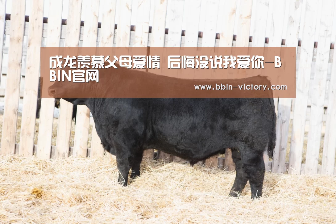 成龙羡慕父母爱情 后悔没说我爱你-BBIN官网(图1) BBIN真人