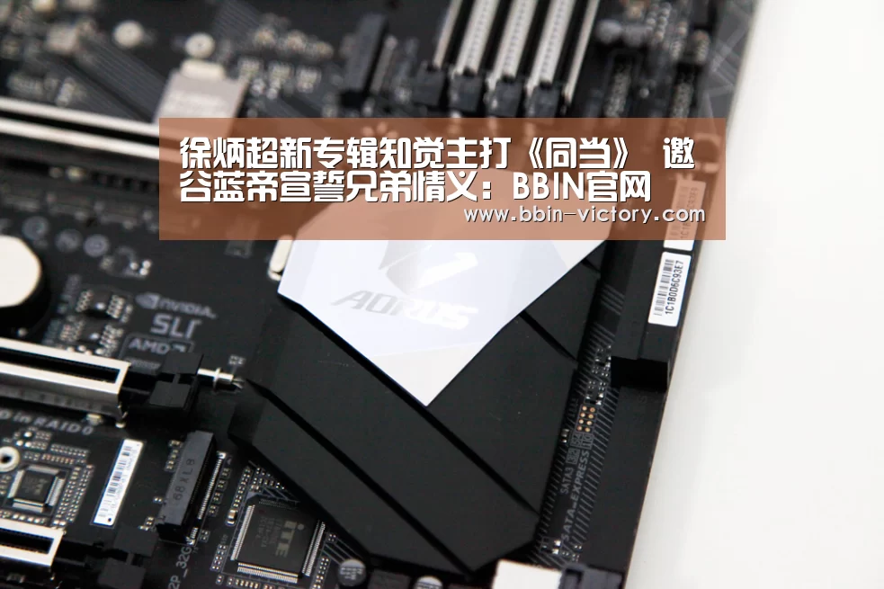 BBIN真人