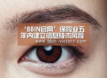 ‘BBIN官网’保险业五年内建立信息技术风险管理体系(图2) BBIN电竞