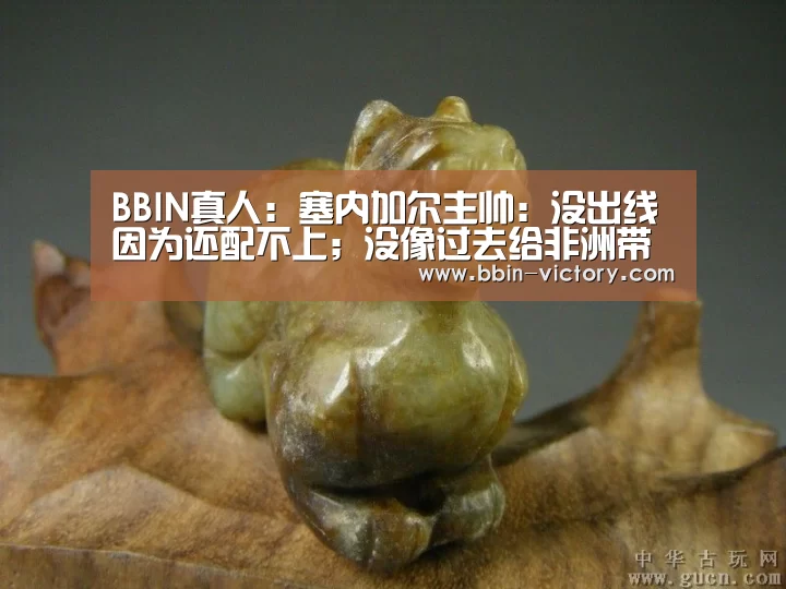 BBIN真人:塞内加尔主帅:没出线因为还配不上;没像过去给非洲带来耻辱(图2) BBIN官网
