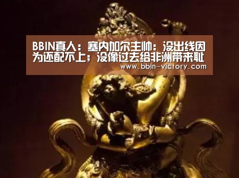 BBIN真人:塞内加尔主帅:没出线因为还配不上;没像过去给非洲带来耻辱(图3) BBIN真人