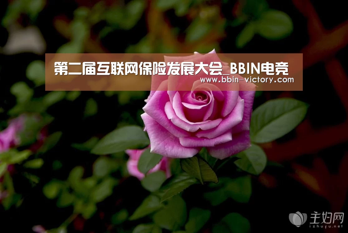 第二届互联网保险发展大会_BBIN电竞(图3) BBIN真人