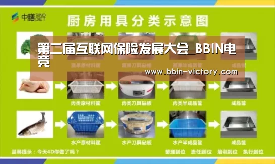 第二届互联网保险发展大会_BBIN电竞(图2) BBIN官网