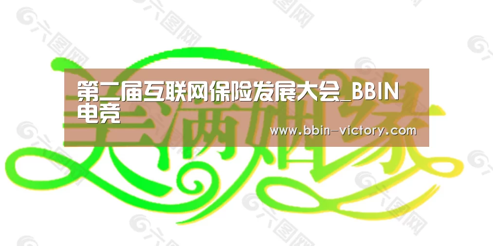 第二届互联网保险发展大会_BBIN电竞(图4) BBIN真人