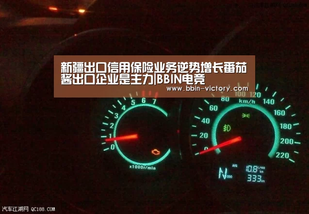 新疆出口信用保险业务逆势增长番茄酱出口企业是主力|BBIN电竞(图1) BBIN电竞